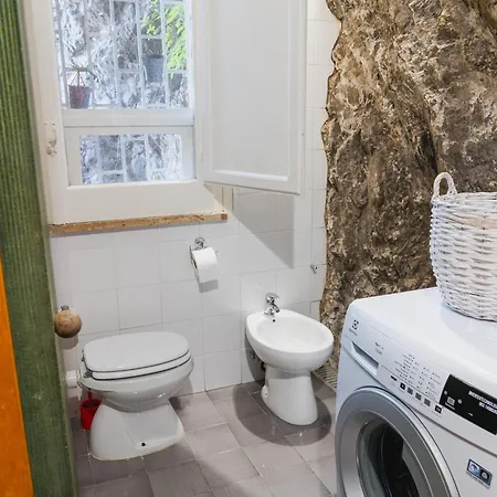 The Cliff فيلة مايوري